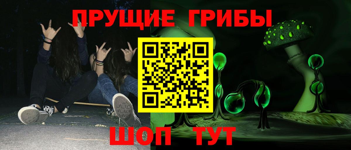 что такое   Псилоцибиновые грибы Psilocybe  Вход с VPN  Амурск 