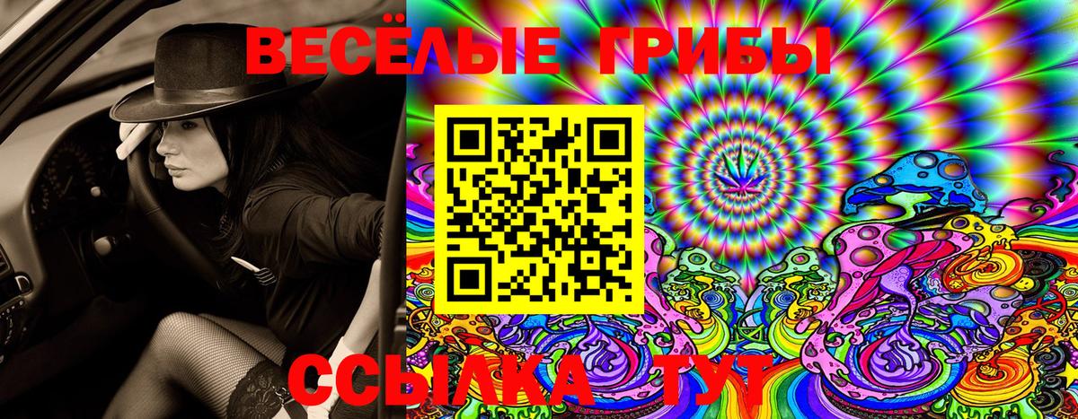 Псилоцибиновые грибы Cubensis Амурск